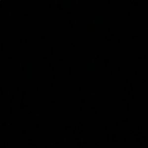 Meet your Posher, Barrett